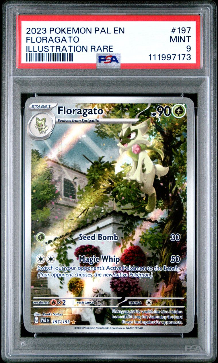 PSA 9 2023 Pokemon Pal En-Paldea Evolved 197 Floragato Illustration Rare, PSA 9